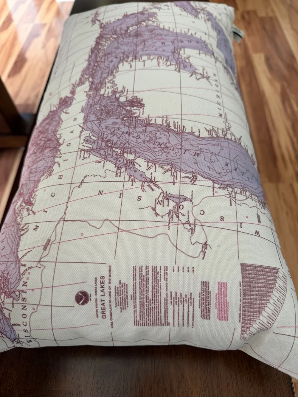 Map Print Decorative Pillow - Pink and Cream